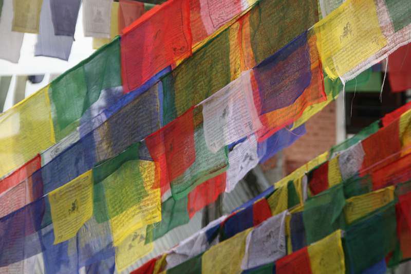 India & Nepal 2011 - 0222